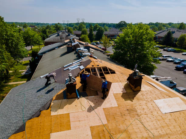 Best Storm Damage Roof Repair  in Center Hill, FL