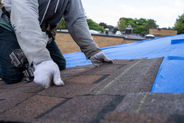 Gutter Installation and Roofing in Center Hill, FL