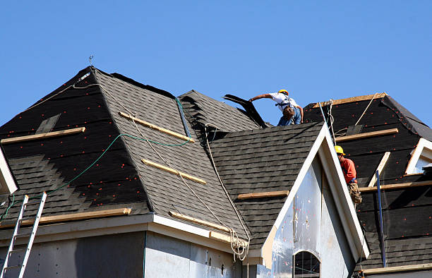 Best Metal Roofing Contractor  in Center Hill, FL